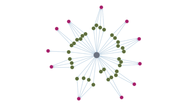 Yoast SEO Premium schema aggregation showing structured data graph